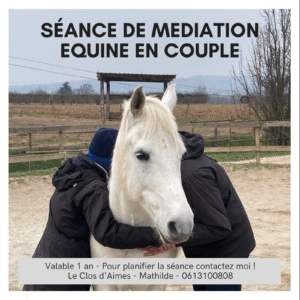 Bon pour une séance de médiation équine en couple