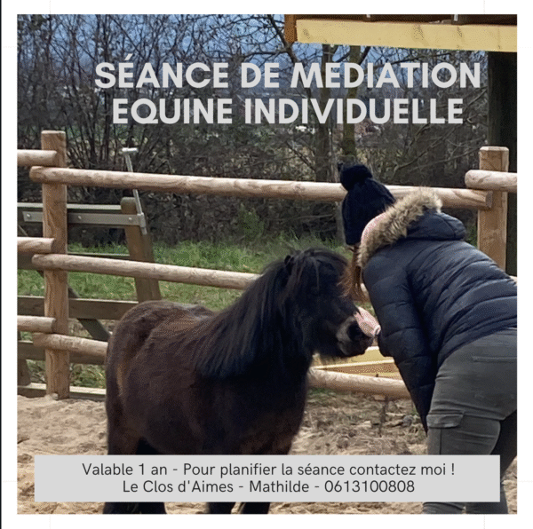 Bon pour une séance Individuelle de médiation équine
