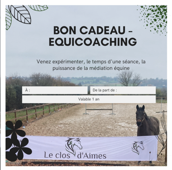 Bon Cadeau - Equicoaching